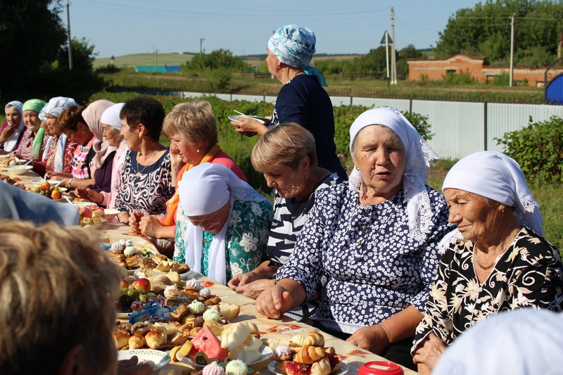 Погода слобода татарстан. Старый Арыш деревня Татарстан. Новый Арыш Рыбно-Слободского района. Балтамак Сармановский район деревня. Новый Арыш Рыбно-Слободского района кладбище.