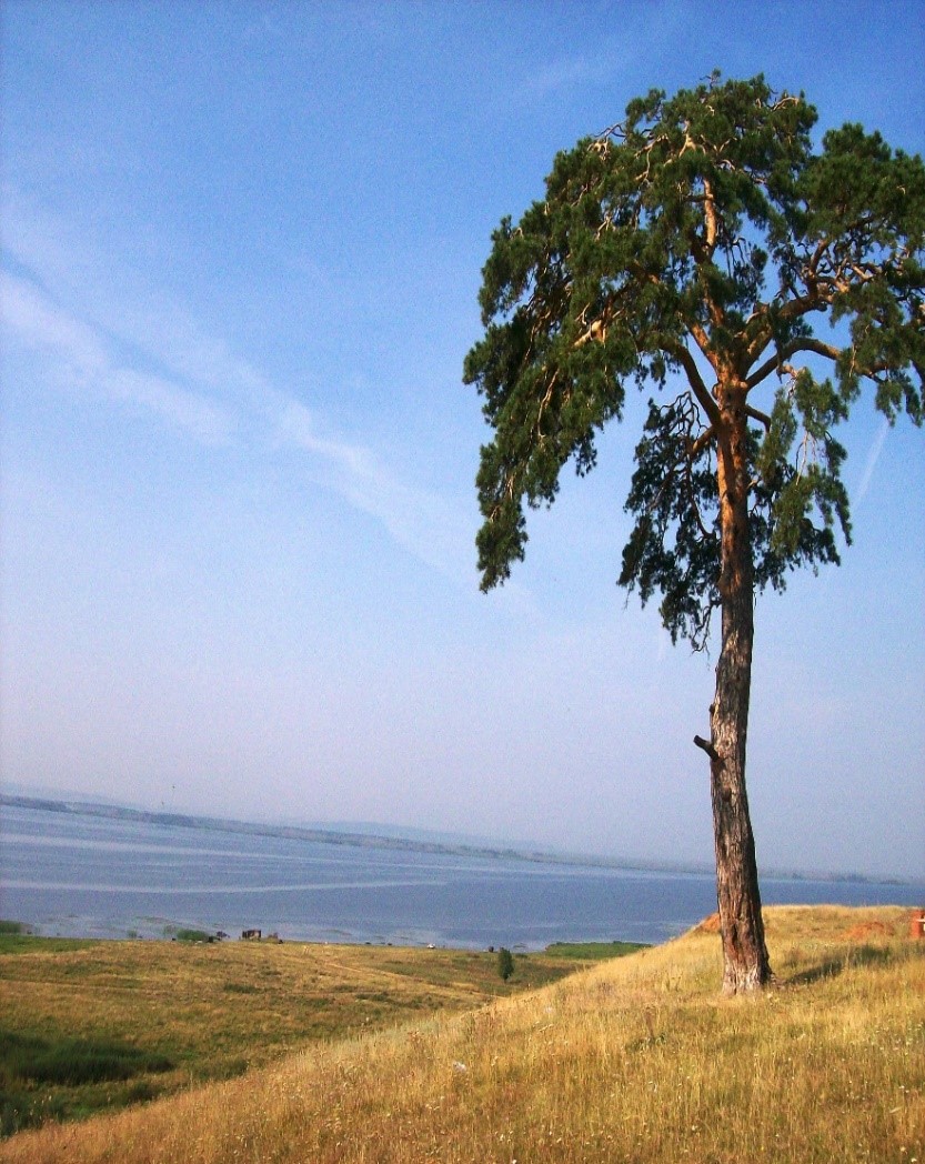 Красный бор татарстан агрызский